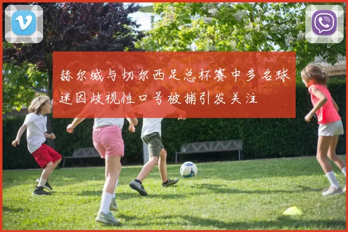 赫尔城与切尔西足总杯赛中多名球迷因歧视性口号被捕引发关注